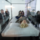 Tilda Swinton, Image via the AP.